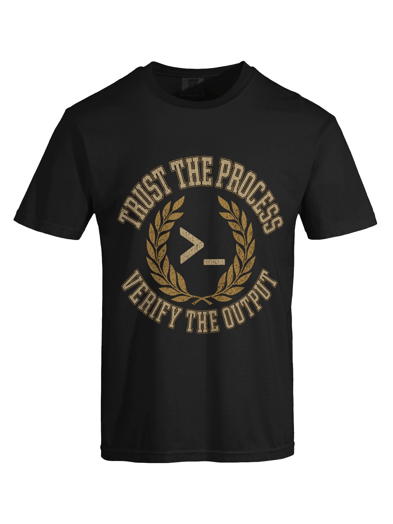 Trust the Process. Verify the Output. Tee product image (9)