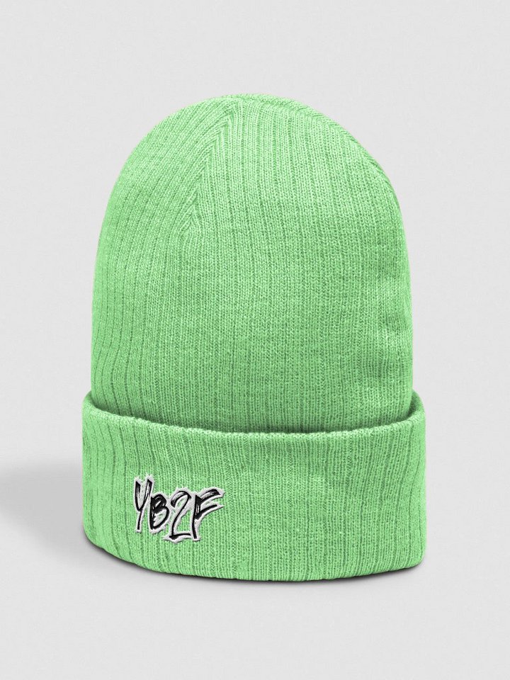 YB2F Knit Cap product image (2)