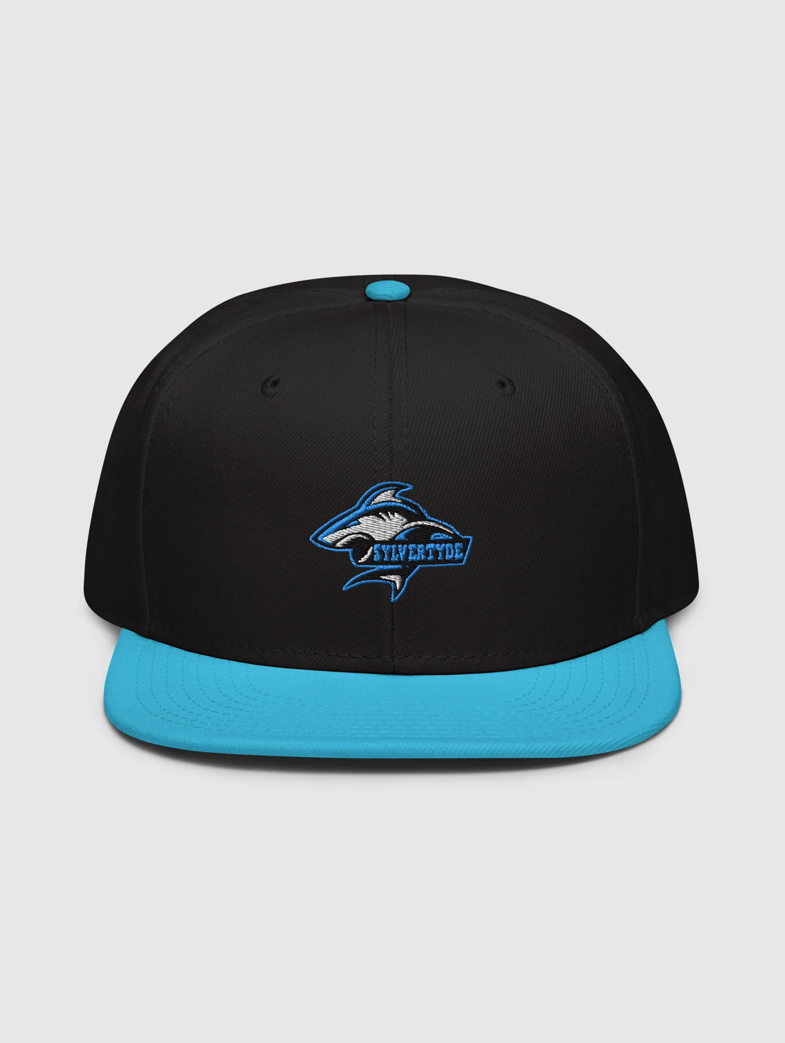 Sylvertyde Snapback Hat product image (1)