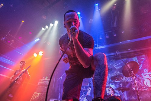 Thank you @domdez for these brilliant shots from foufs circa 2016. 
Cheers!
