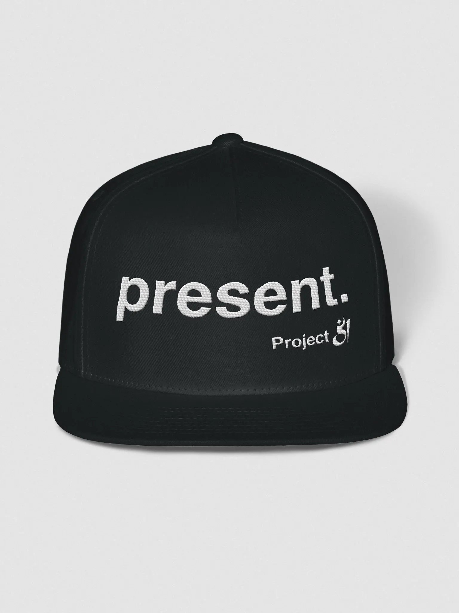 present. Snapback product image (1)