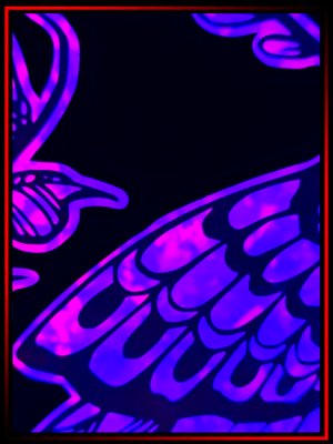 Deathead Moth - CAULDRON CORE ™ product image (2)