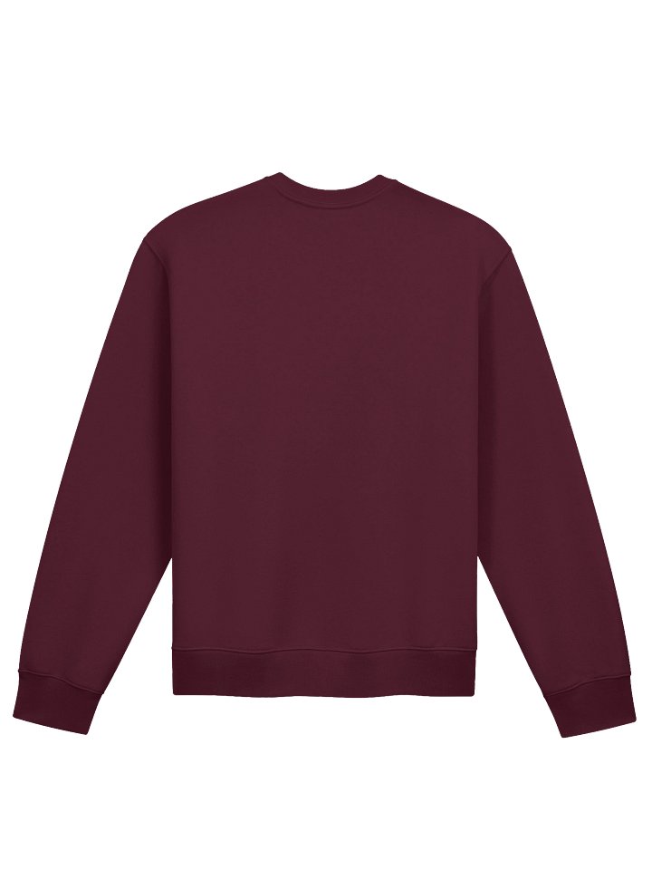 CS Oversized Sweatshirt product image (2)