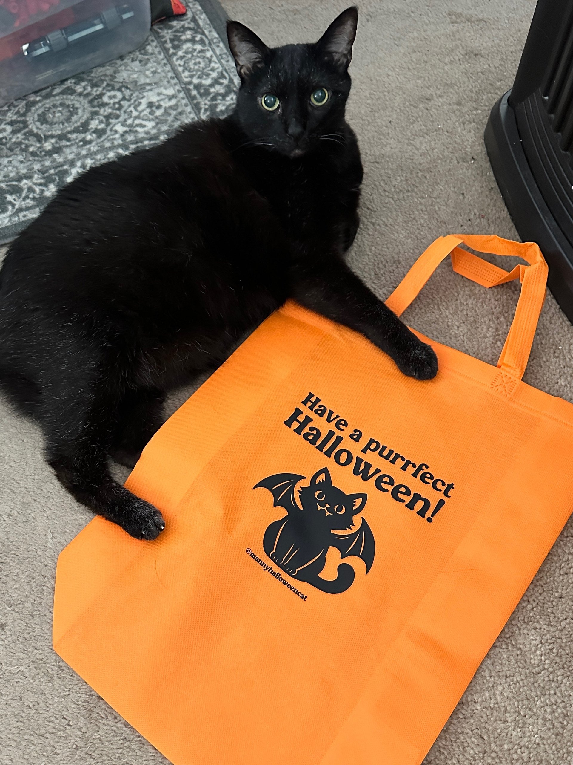 Orange trick-or-treat tote bag product image (1)