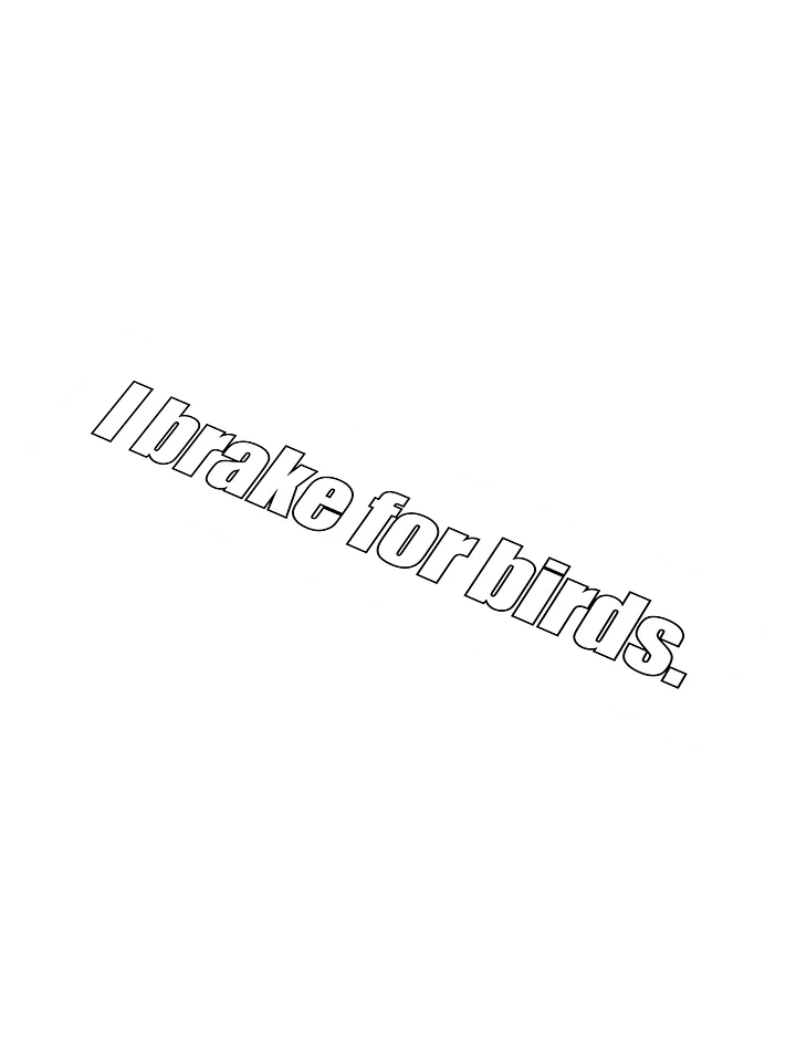 I brake for birds bumper sticker product image (1)