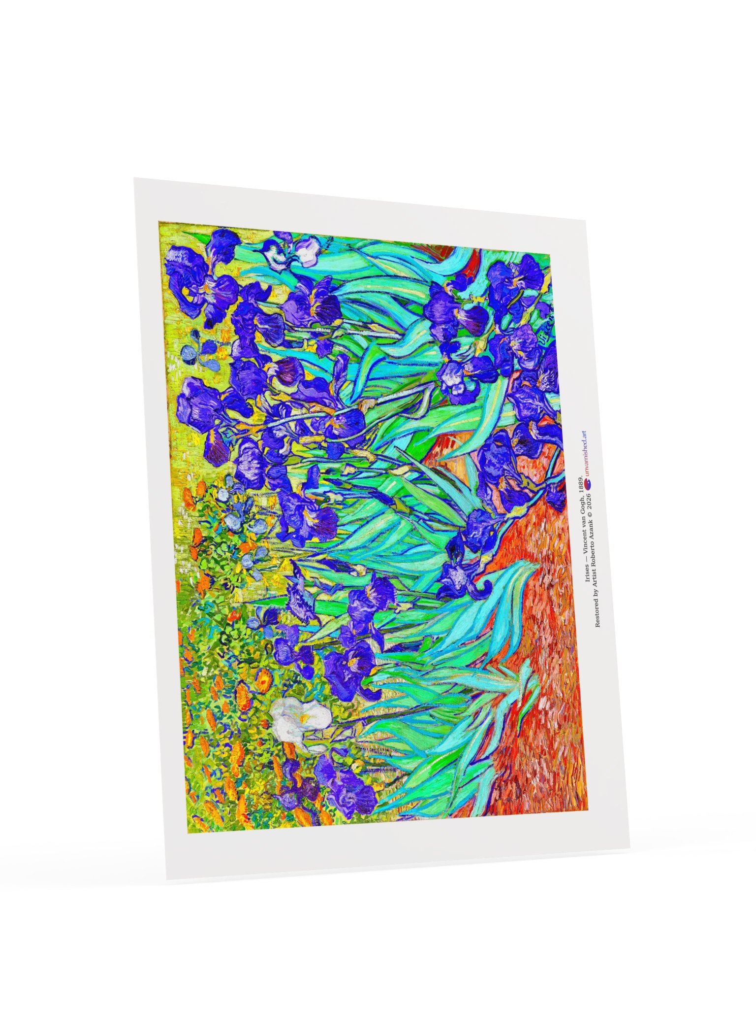 Irises — Poster product image (18)