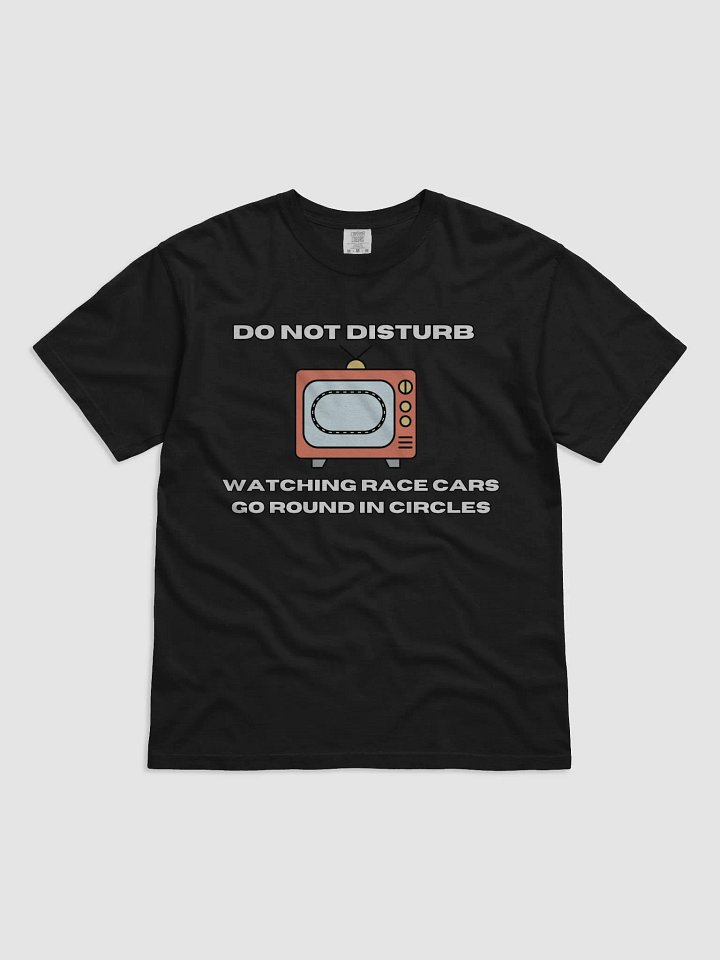 Do Not Disturb T-Shirt product image (2)