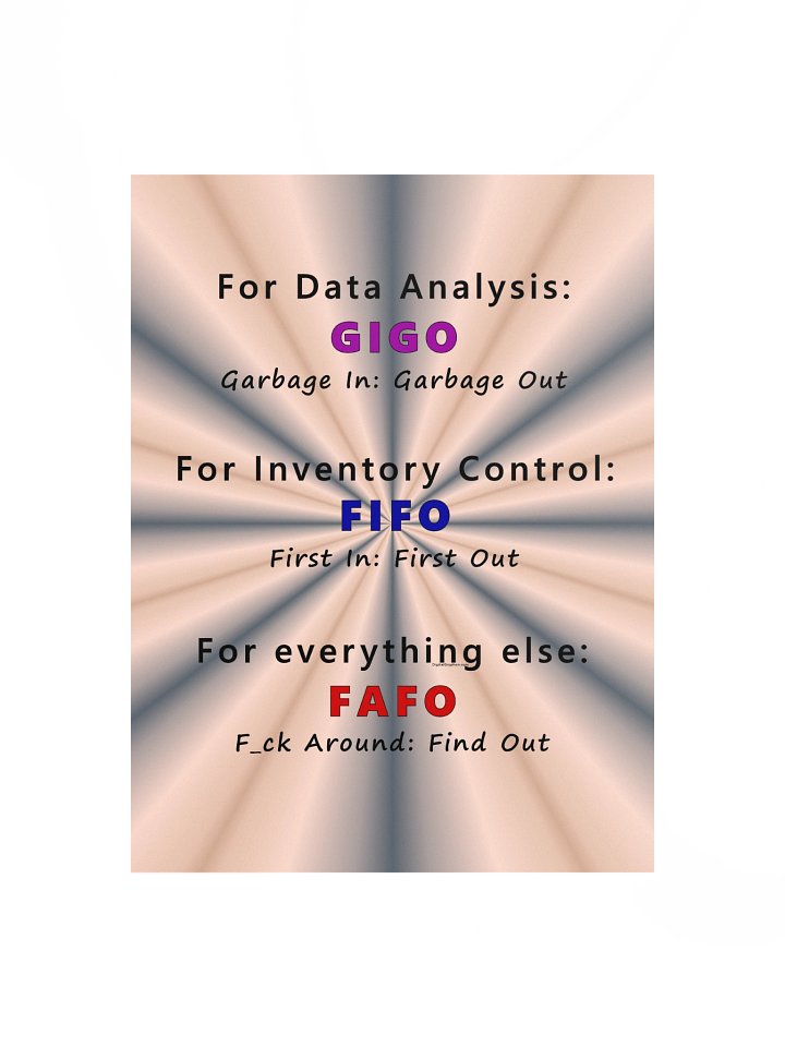 GIGO FIFO FAFO Poster product image (1)