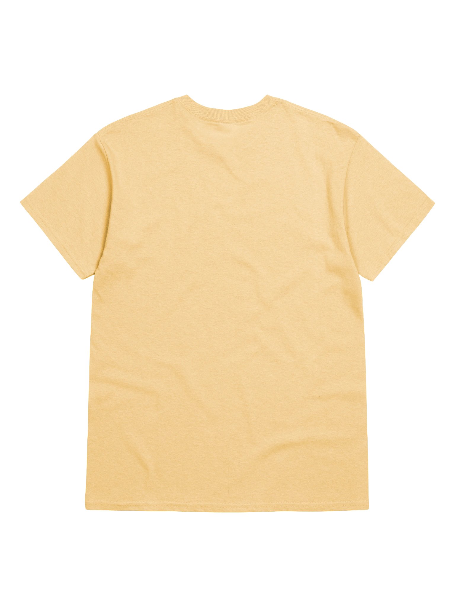 RespawnRaccoon's T-Shirt product image (29)