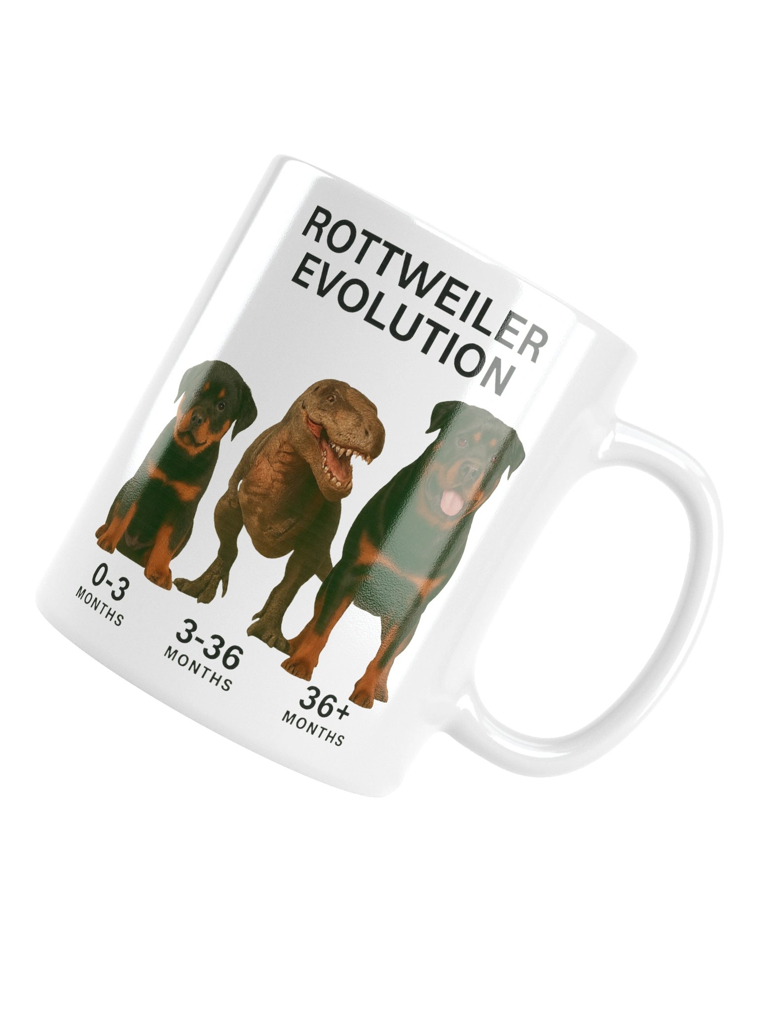 Rottweiler Evolution Mug product image (14)