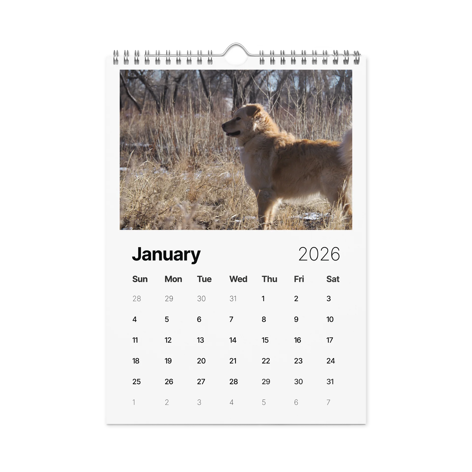 Milo's Life 2026 Wall Calendar product image (9)