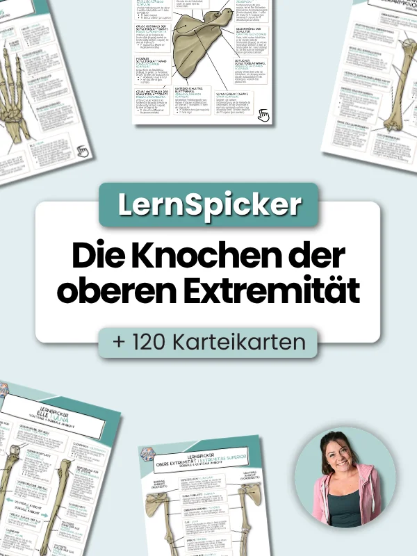 LernSpicker 'Die Knochenpunkte der oberen Extremität' product image (1)