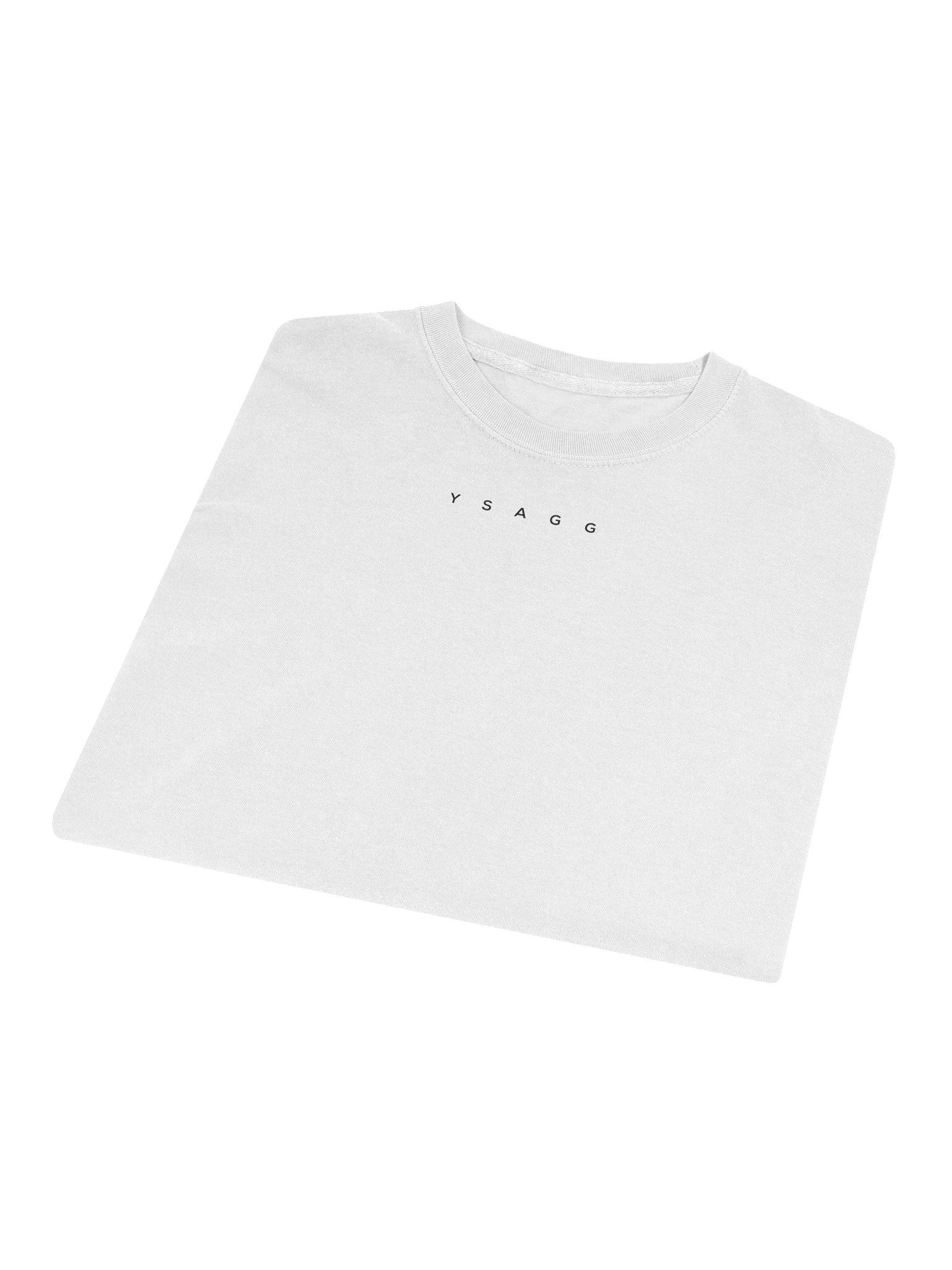YSAGG Long Sleeve (Small Letters) product image (3)