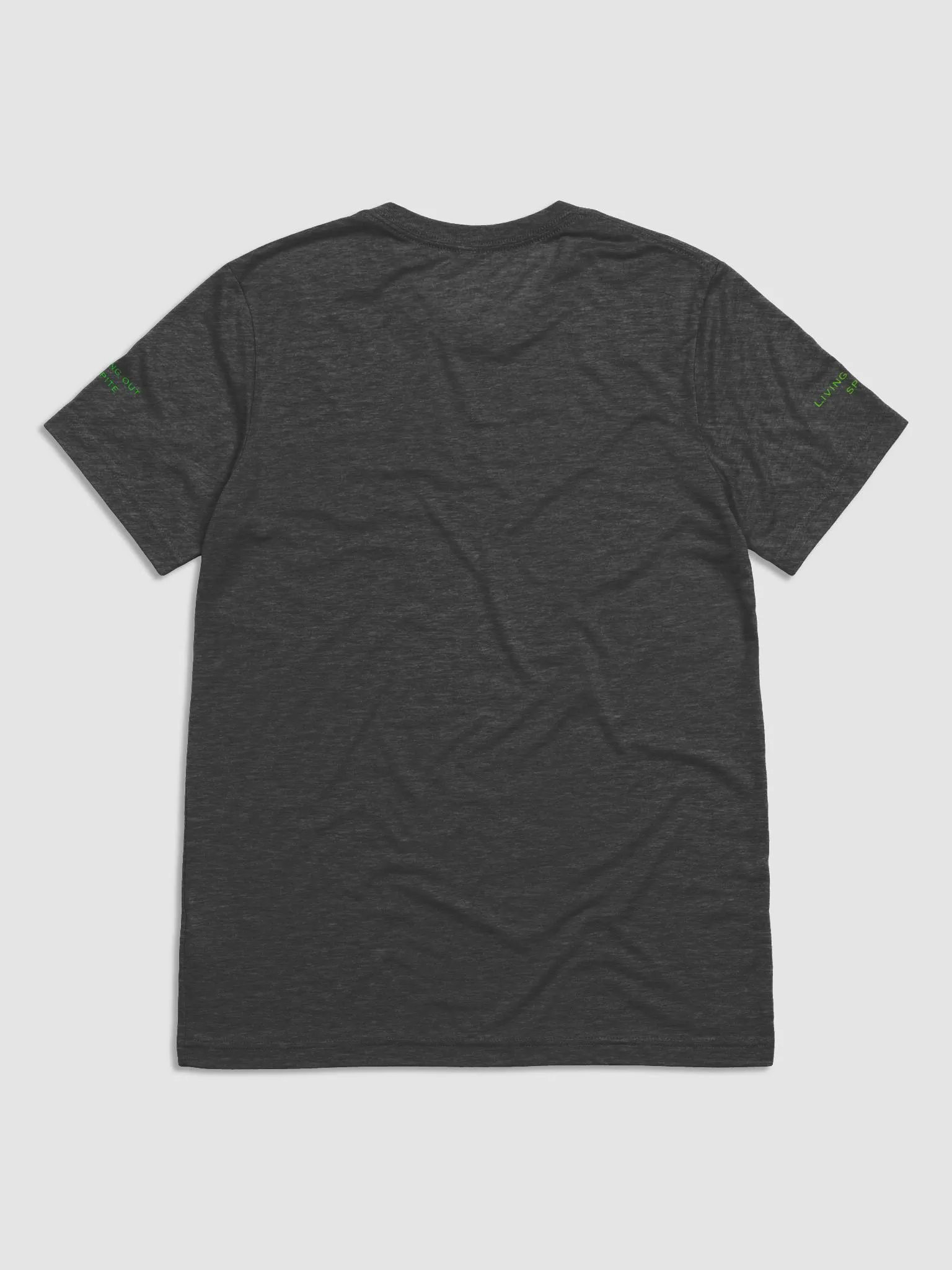 Spitefuls Shitshow product image (2)