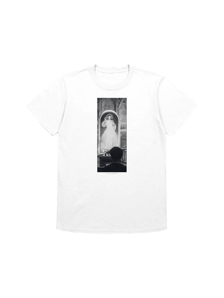 Why Would I Fear T-Shirt product image (1)