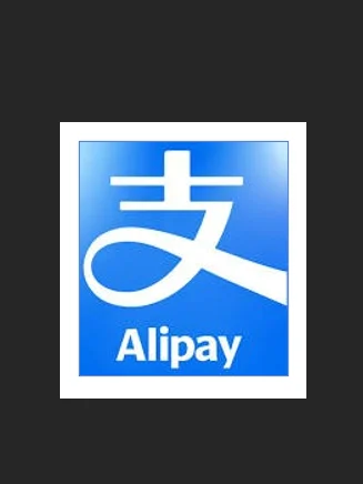 Alipay product image (1)