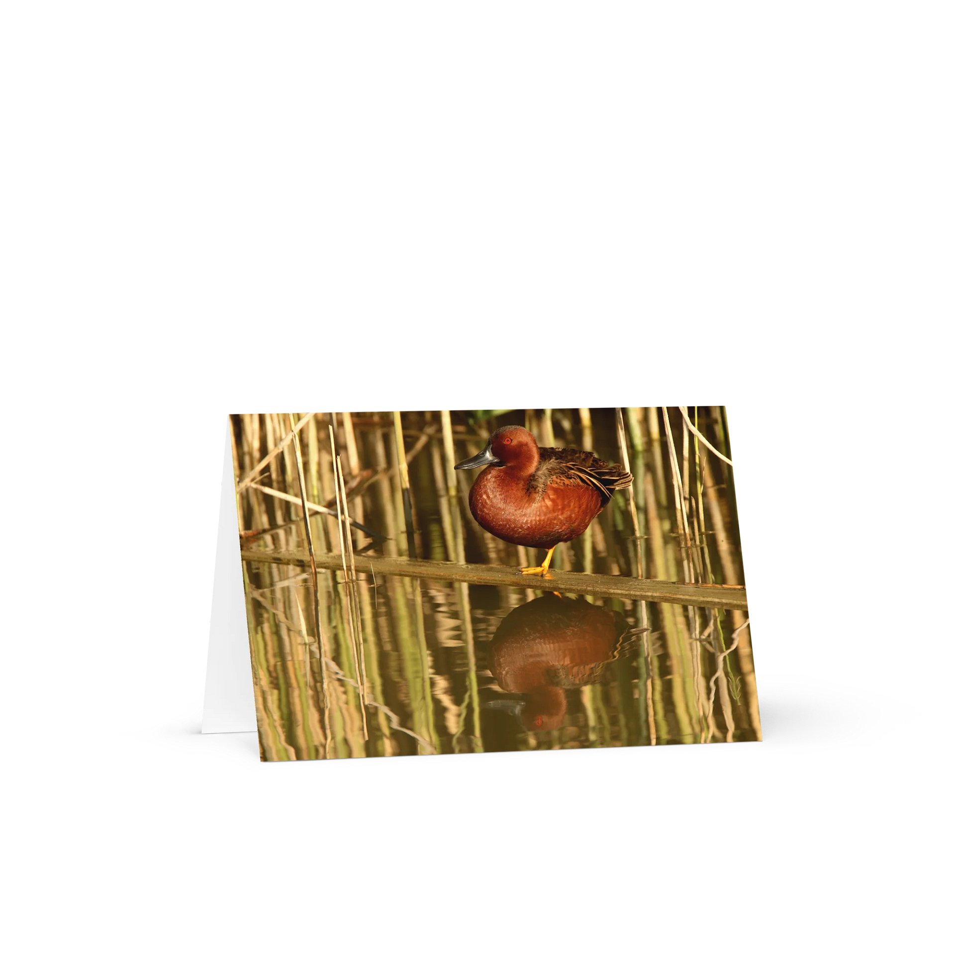 Drake Cinnamon Teal Greeting Card product image (1)