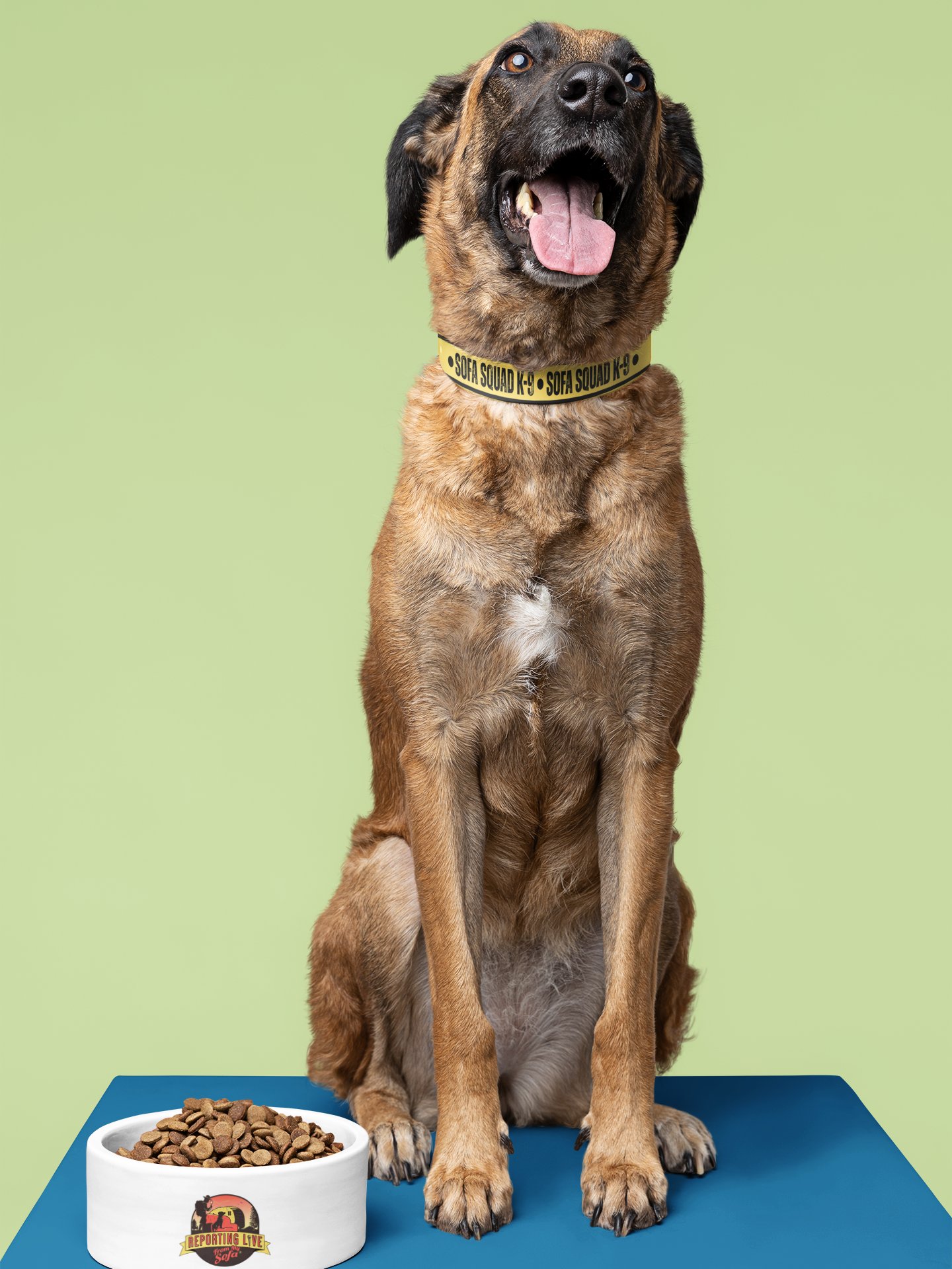 Sofa Squad K-9 Dog Collar product image (5)