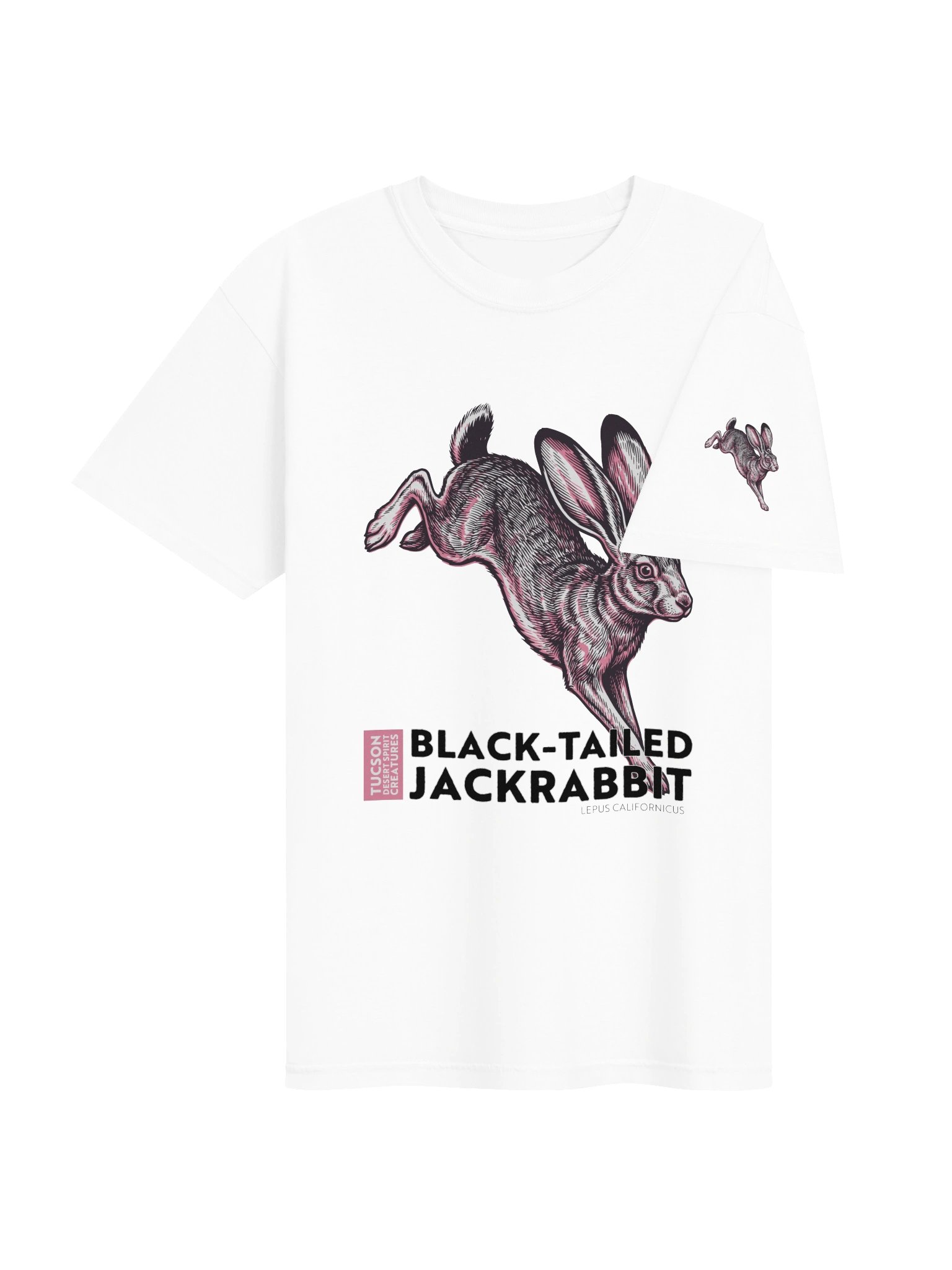 BLACK-TAILED JACKRABBIT product image (29)