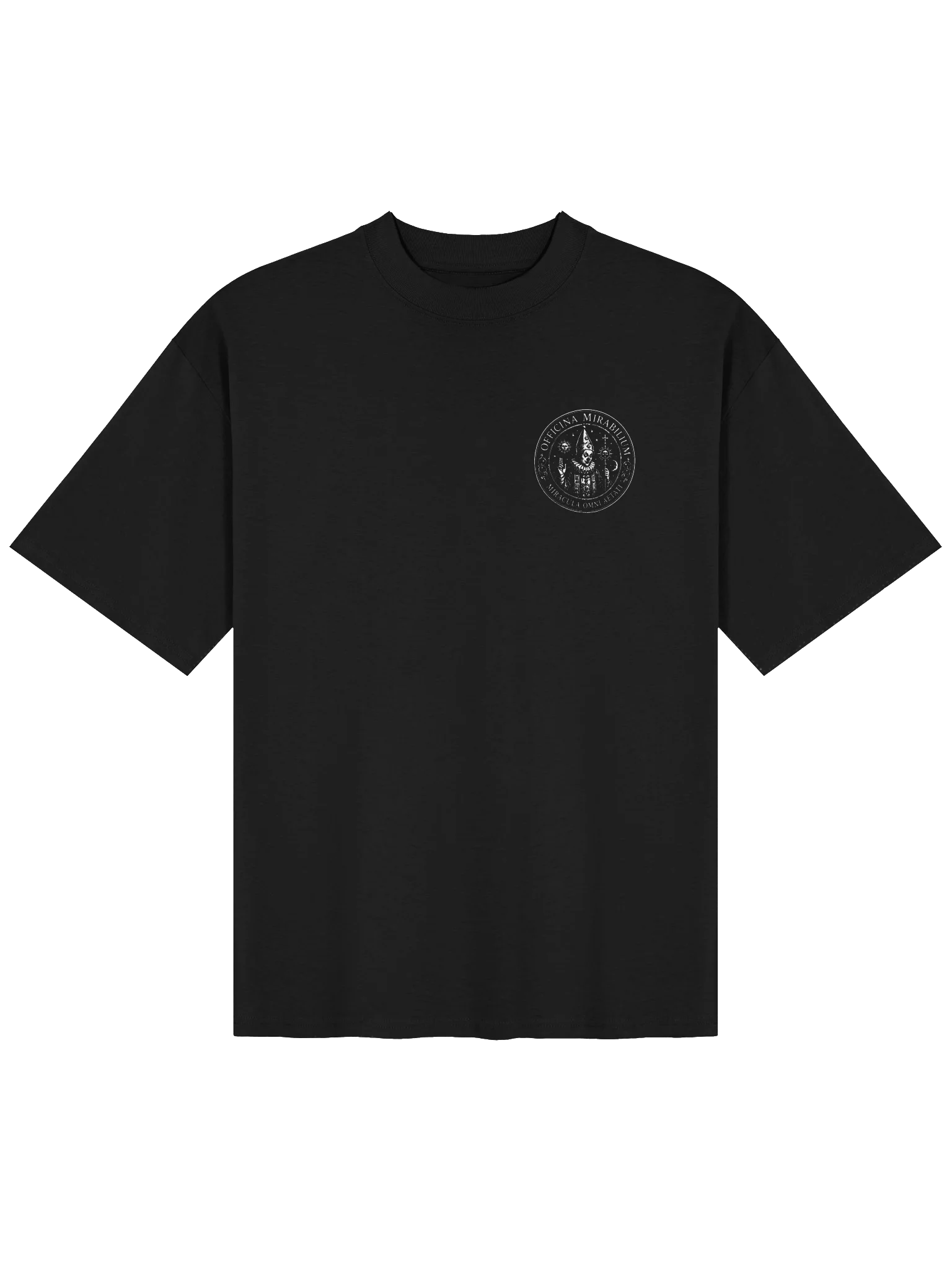 Logo Oversized Tee product image (1)