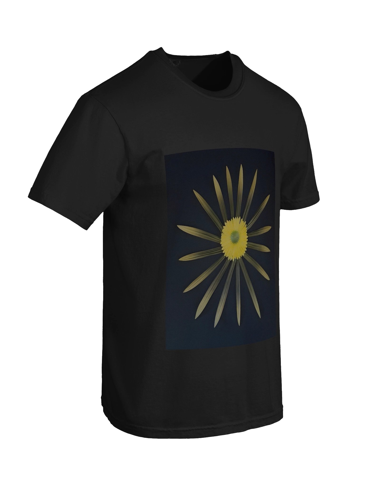 Sunshine T-Shirt product image (23)