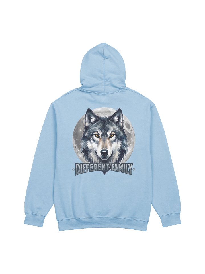 DF4L Hoodie product image (22)