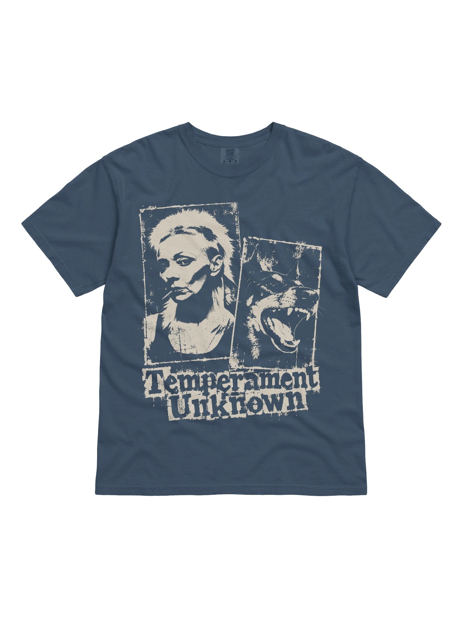 Temperament Unknown Heavyweight Vintage Graphic Tee product image (9)
