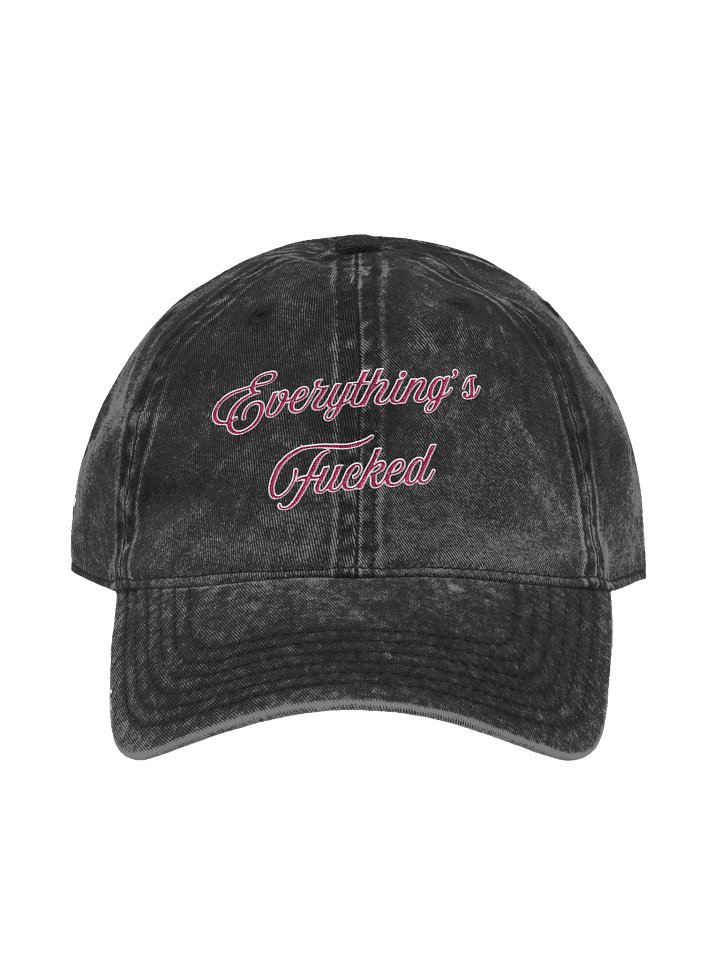 Everything's Fucked Vintage Dad Hat product image (2)