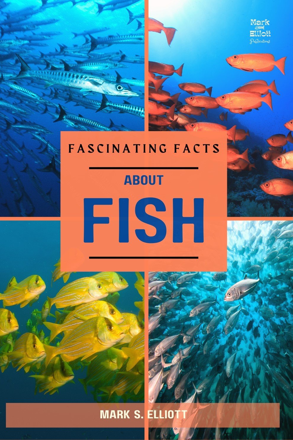 Fascinating Facts about Fish eBook product image (1)