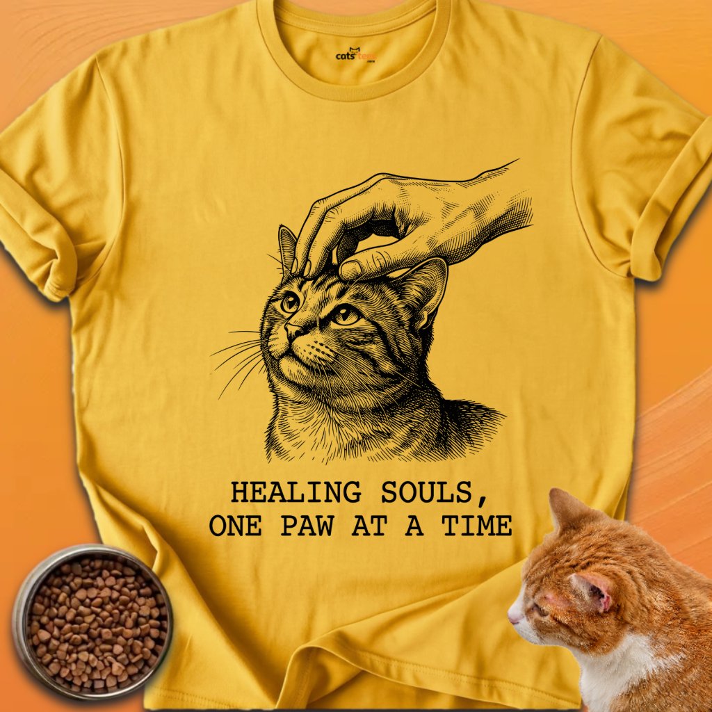 Healing Souls product image (18)