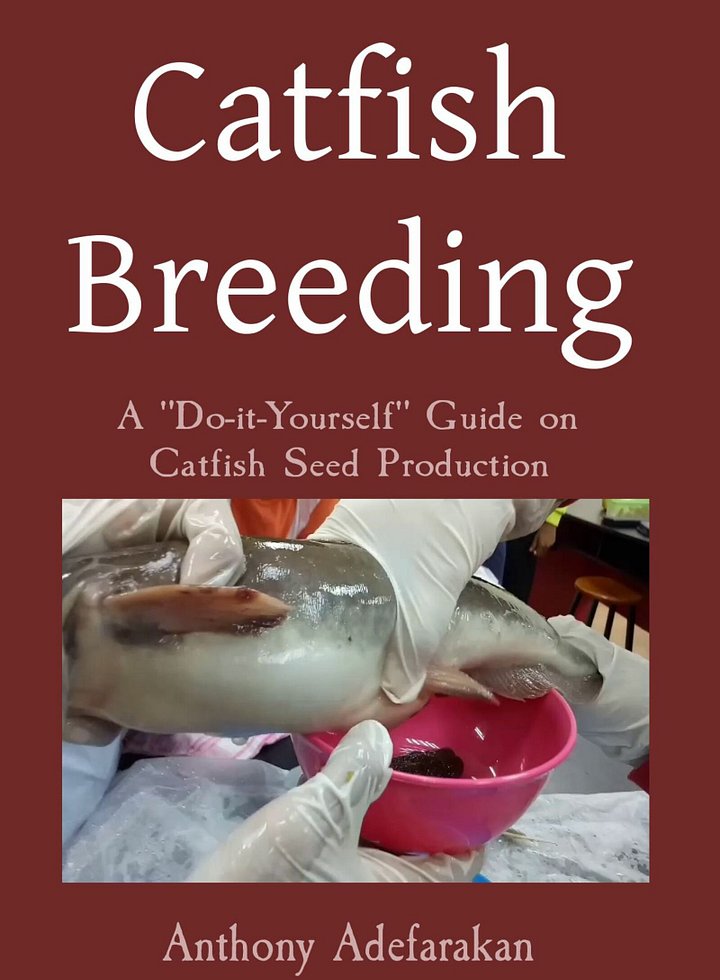 Catfish Breeding - A "Do-it-Yourself" Guide on Catfish Seed Production product image (1)