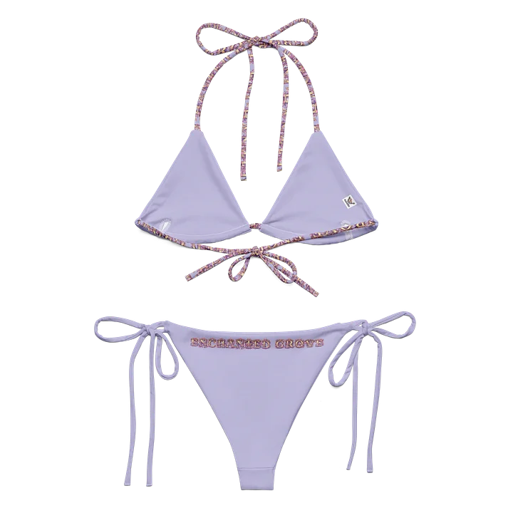 Kingdom Interior Designer Recycled Bikini Set product image (1)