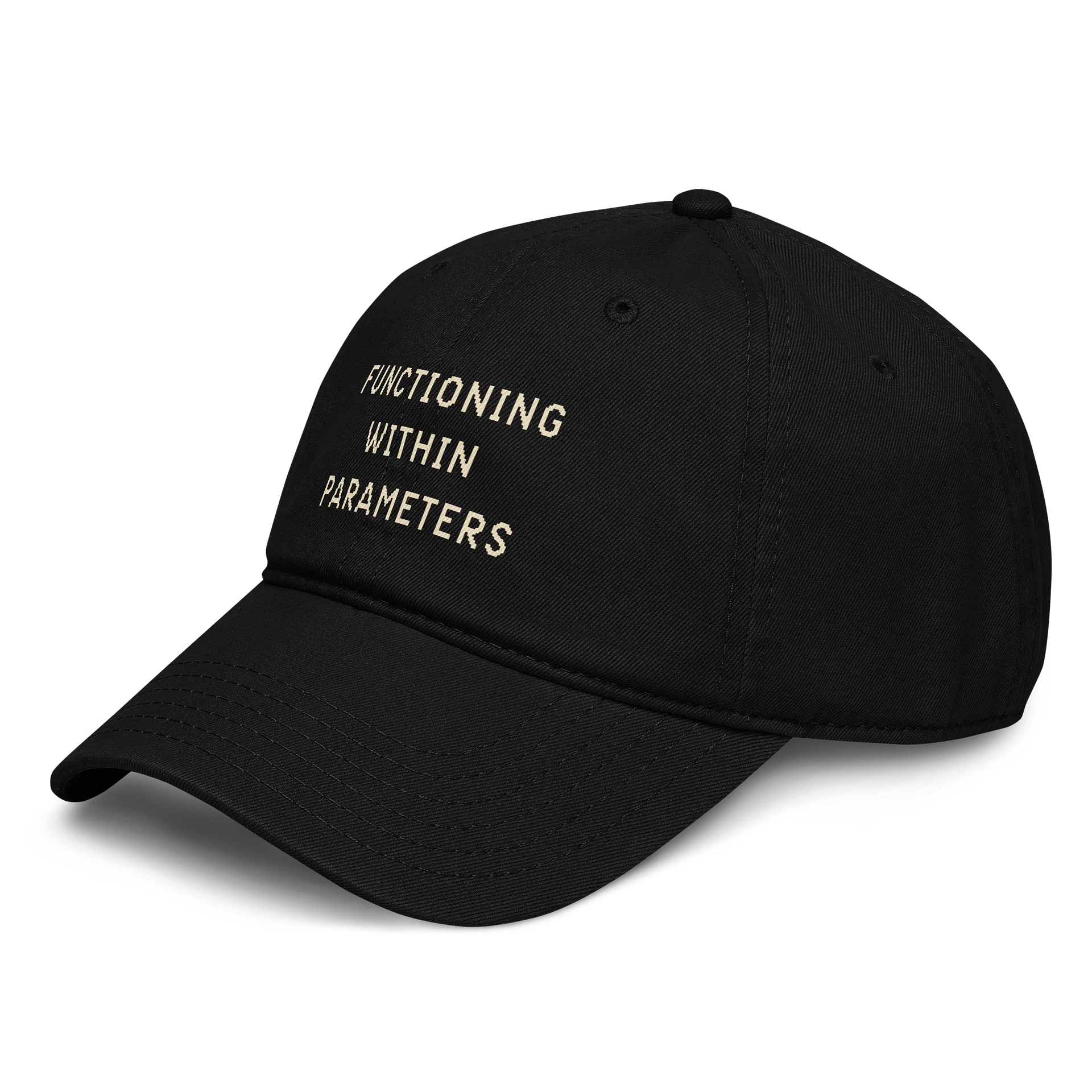 Functioning Within Parameters Hat | Chronic Illness & Spoonie Humor Cap product image (3)