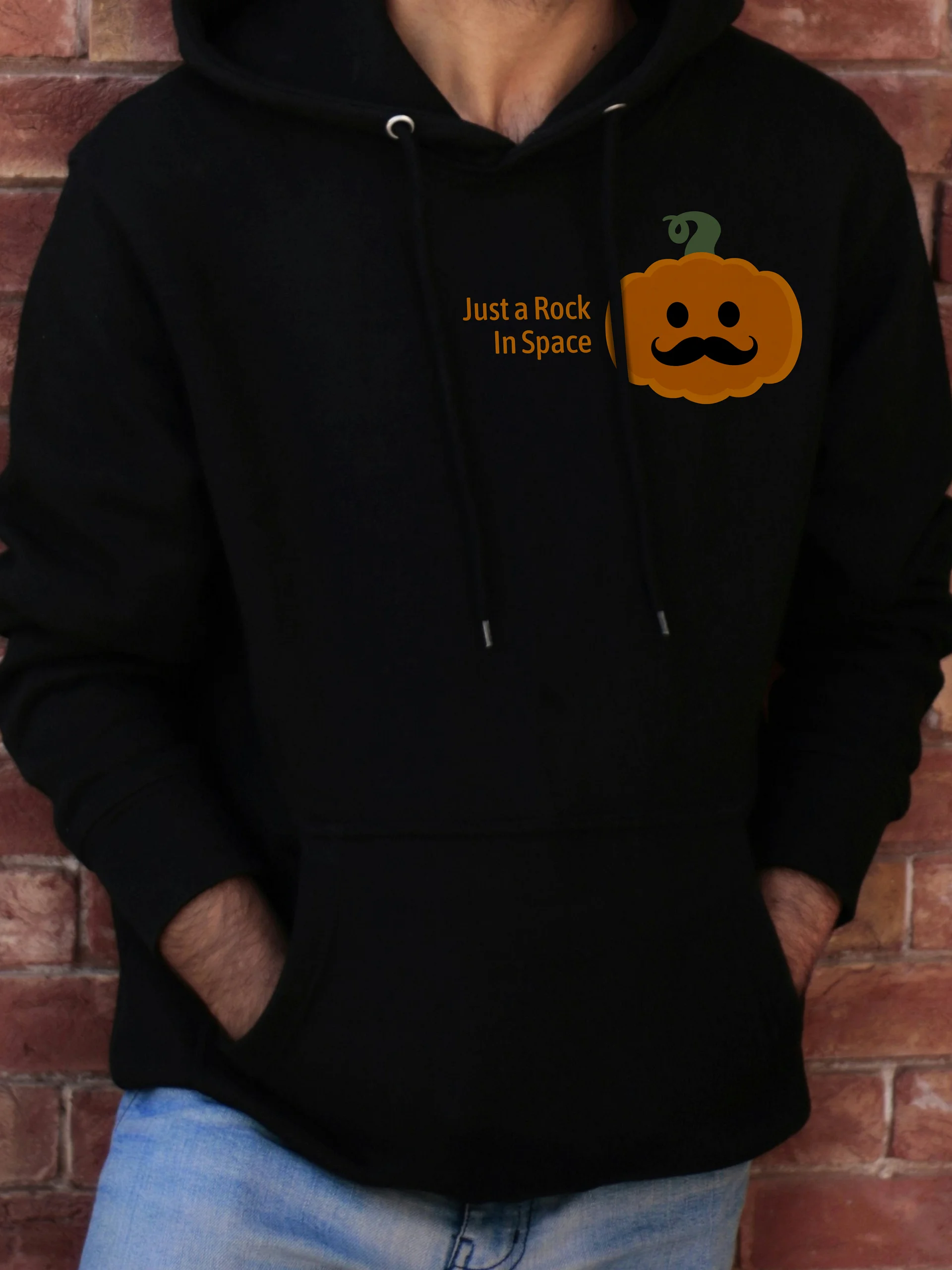 Just a Rock in Space Logo Hoodie - On Sale Until Nov 1 2026 product image (1)