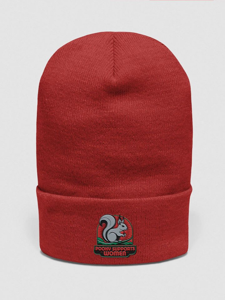 Pooky Loves women cuffed beanie product image (1)