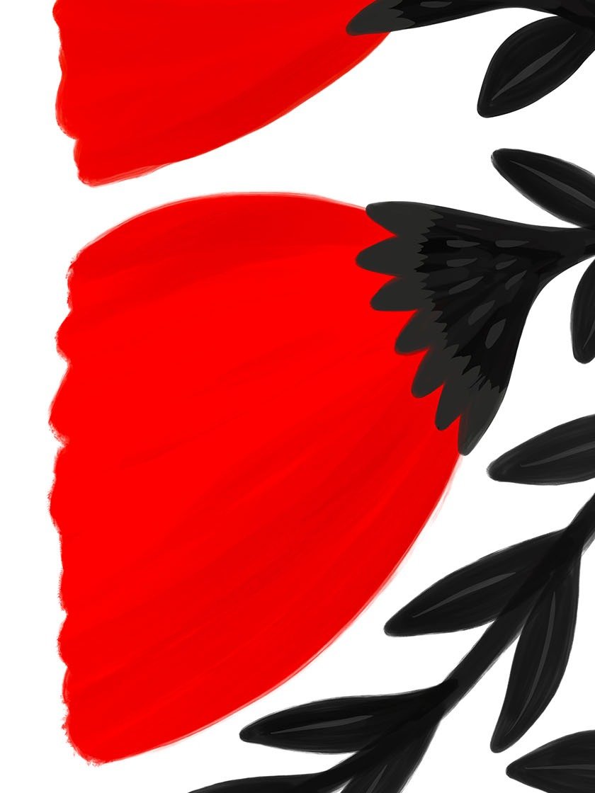 Red Poppies Flowers Art Print product image (2)