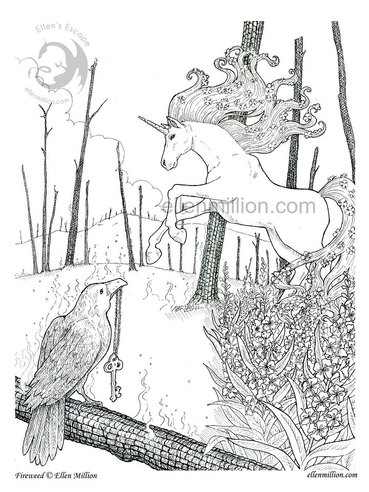 Fireweed - Digital Coloring Page product image (1)