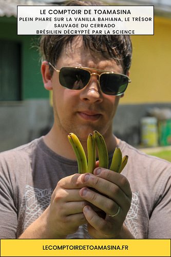 Plein phare sur la Vanilla bahiana, le trésor sauvage du Cerrado brésilien décrypté par la science

Biodiversité : Plein phar...