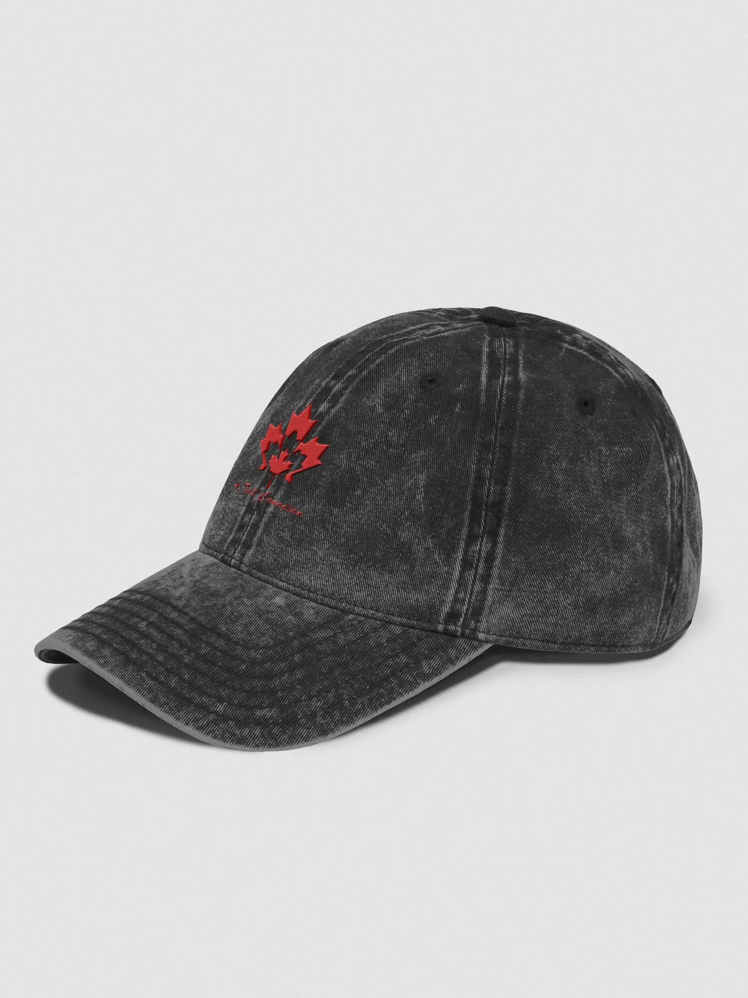 Logo Dad Hat product image (6)