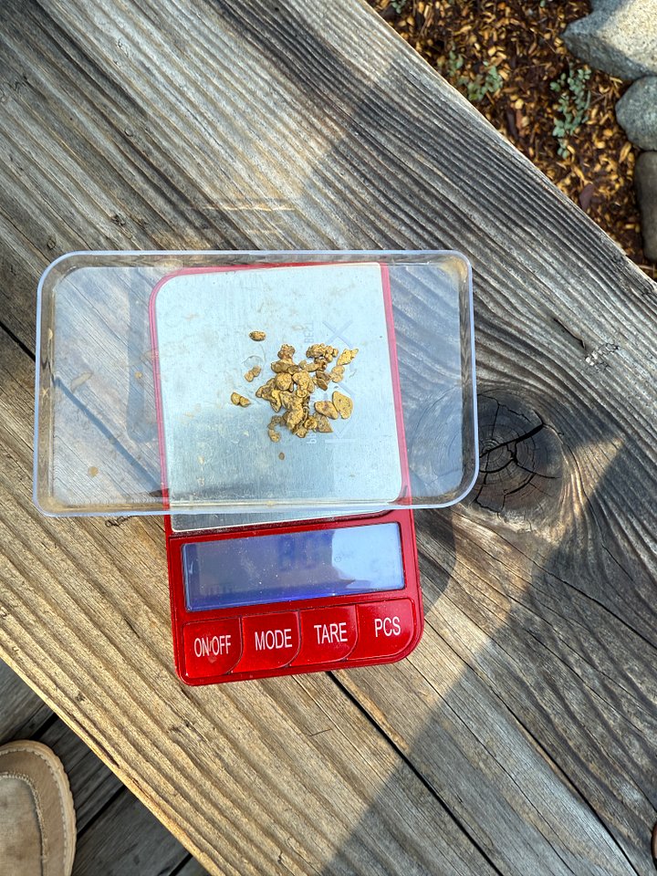 8 Grams of California Placer Gold product image (2)