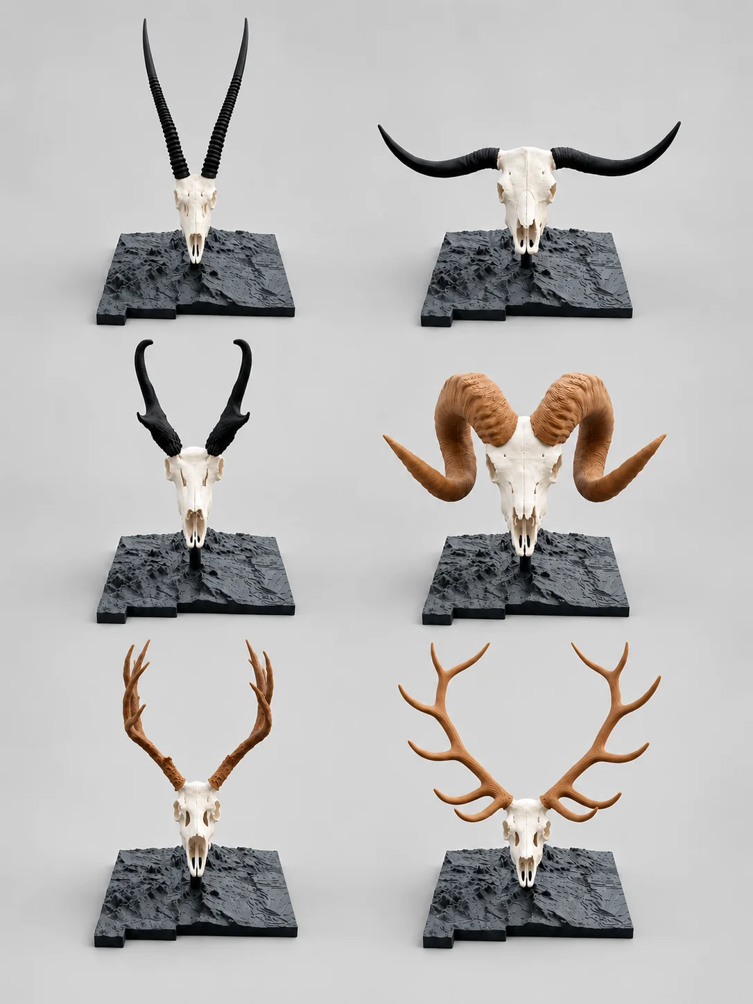 The Complete Set - New Mexico Edition product image (1)