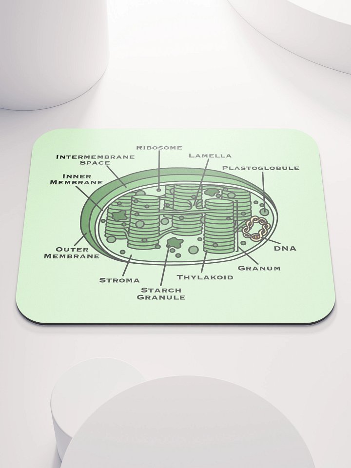 Chloroplast Diagram Mousepad product image (1)
