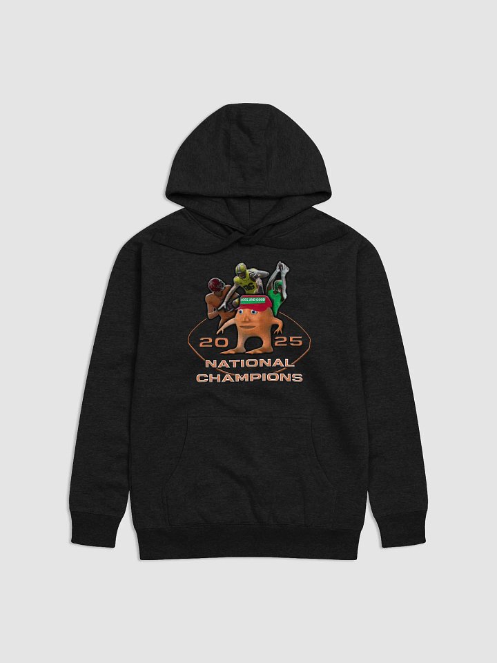 Tardaria 2025 National Champions Cotton Heritage Unisex Premium Hoodie product image (11)