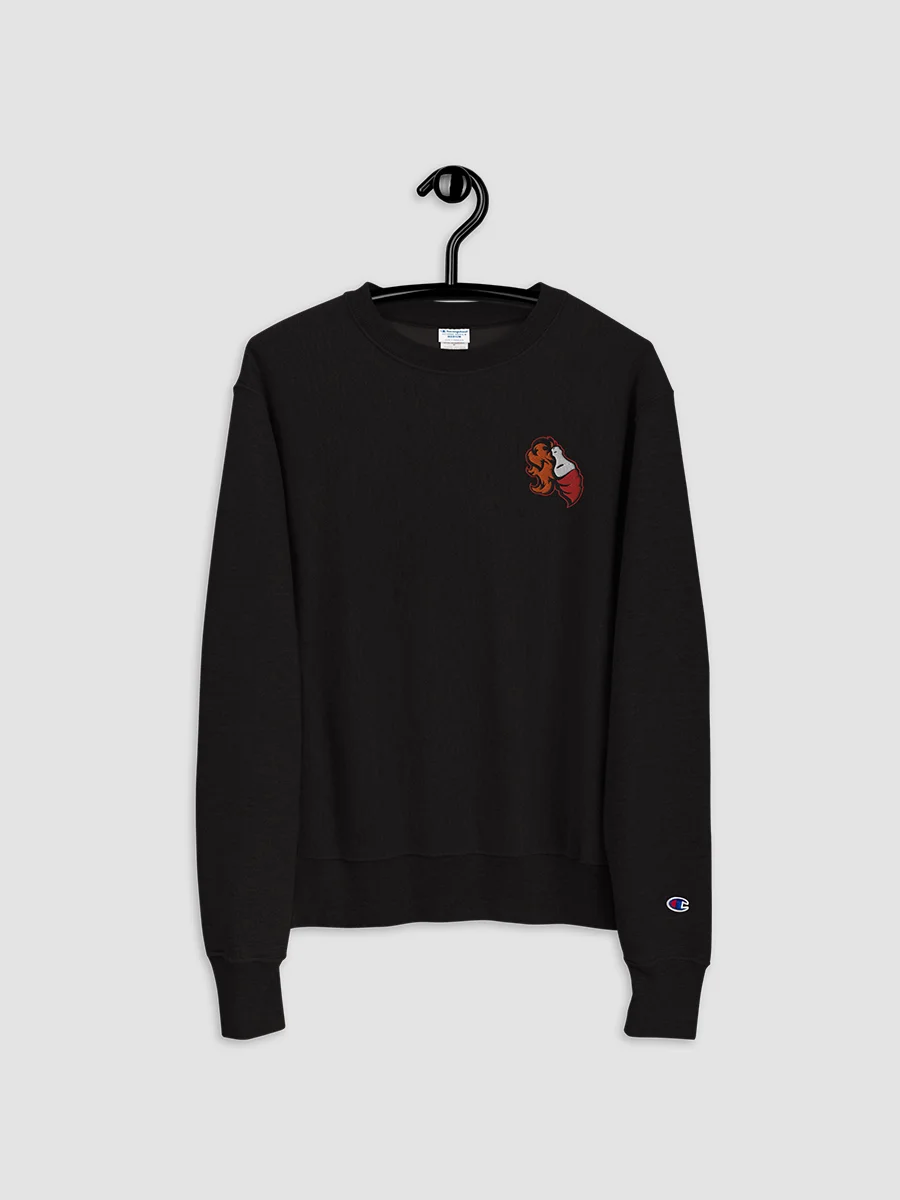 Foundations Molotov Embroidered Champion Sweatshirt product image (3)
