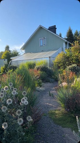 Evening sounds #sandgarden #grassfed #nodig #marketgarden #regenerativeagriculture
