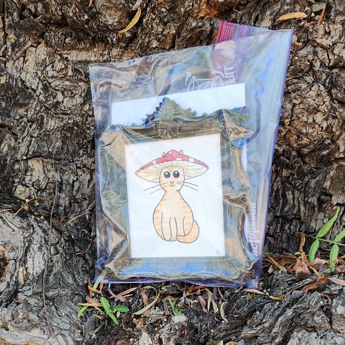 4th one dropped, lil' miss sassy hat is on the Bridle Path in my annual spot! Just north of 13th. Look for the flags.
Please ...