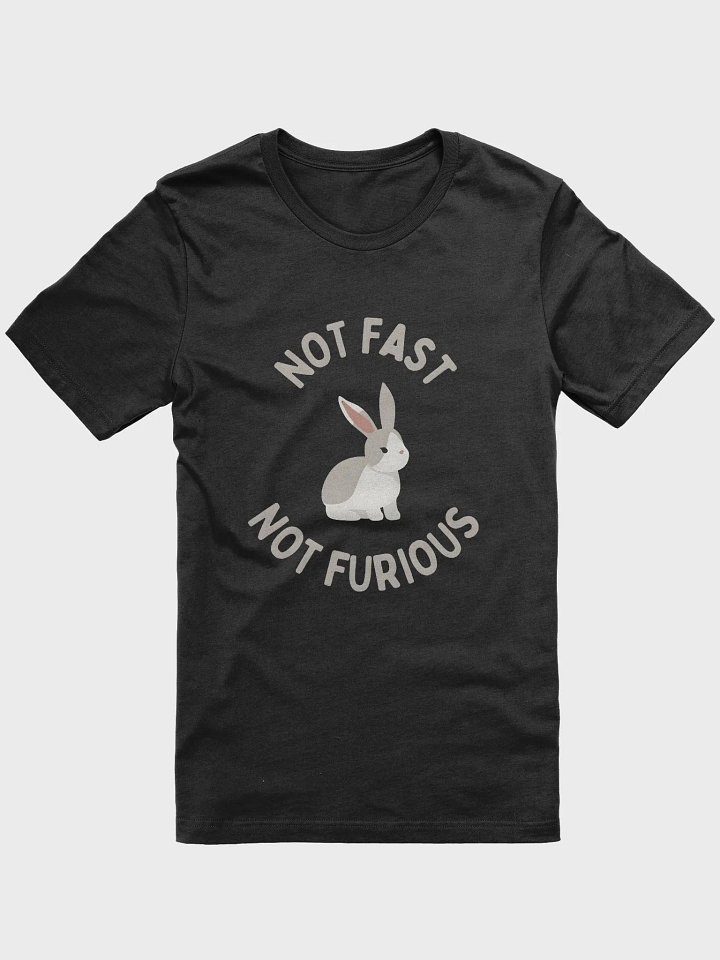 Not Fast Not Furious T-Shirt product image (1)