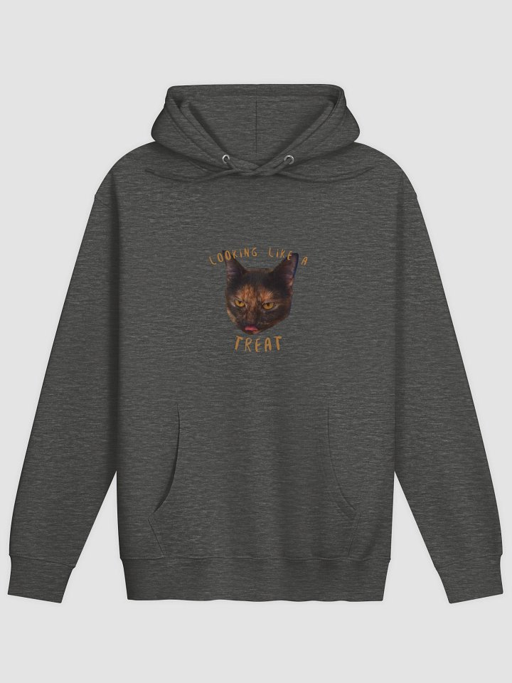 Treat Hoodie product image (8)