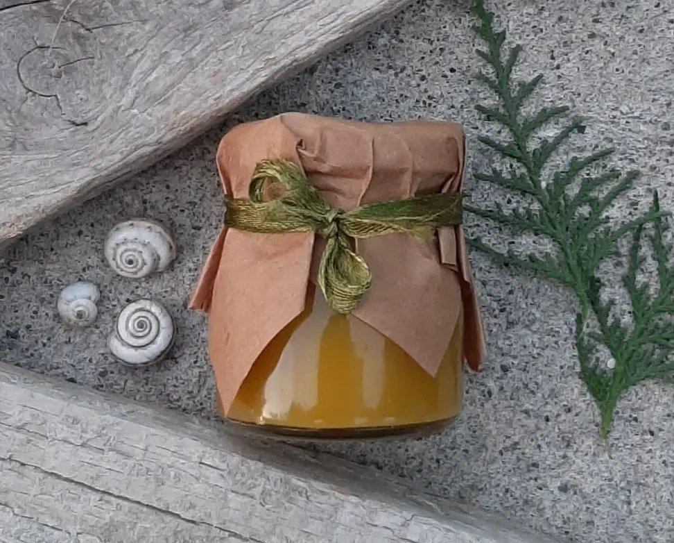 Complete Bee Wellness Collection product image (3)
