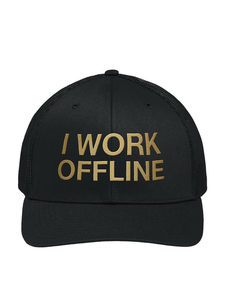 I WORK OFFLINE product image (1)